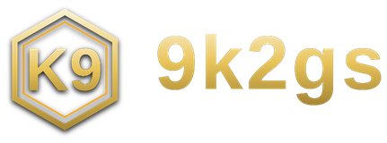 9k2gs logo